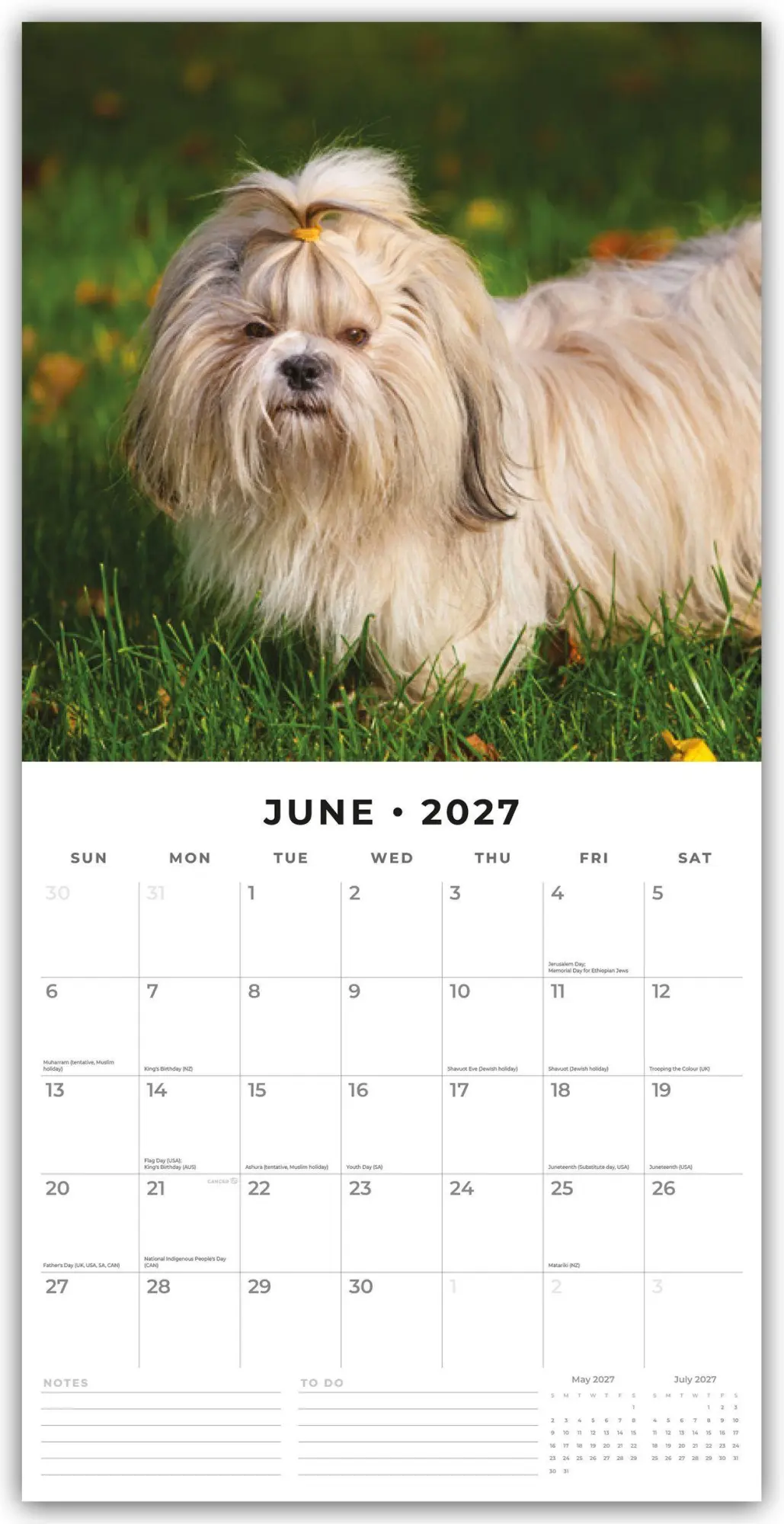 Bild: 9781837012978 | Shih Tzu 2027 - 16-Monatskalender | Robin Red | Kalender | 28 S.