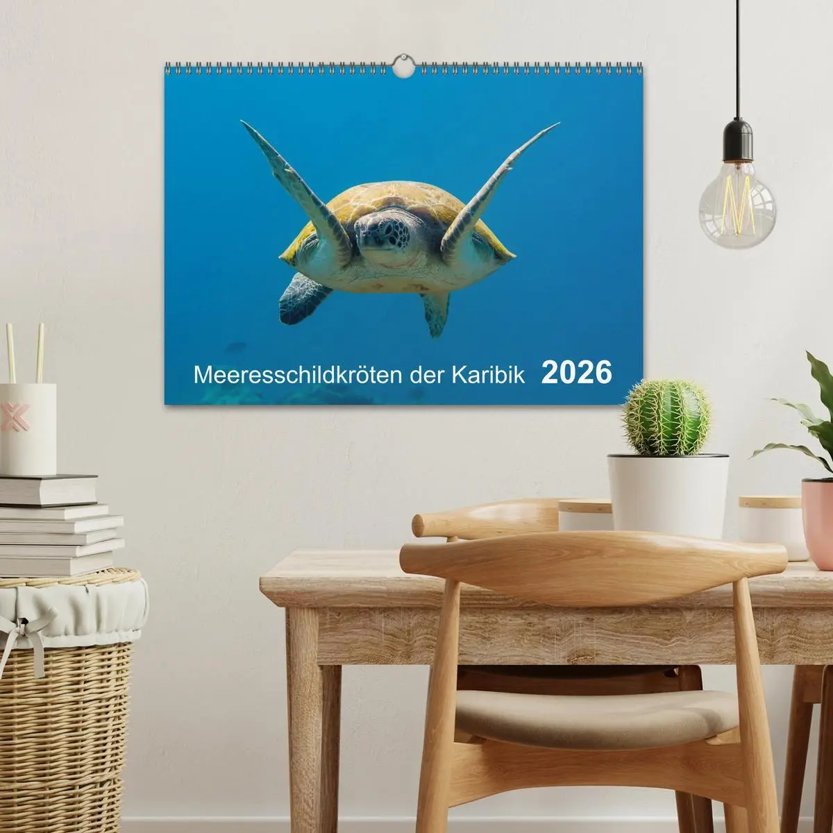 Bild: 9783457892978 | Meeresschildkröten der Karibik (Wandkalender 2026 DIN A3 quer),...