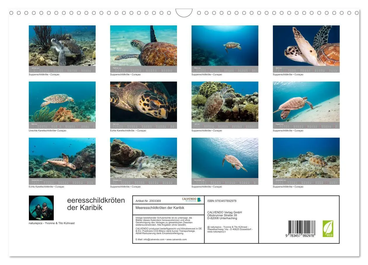 Bild: 9783457892978 | Meeresschildkröten der Karibik (Wandkalender 2026 DIN A3 quer),...