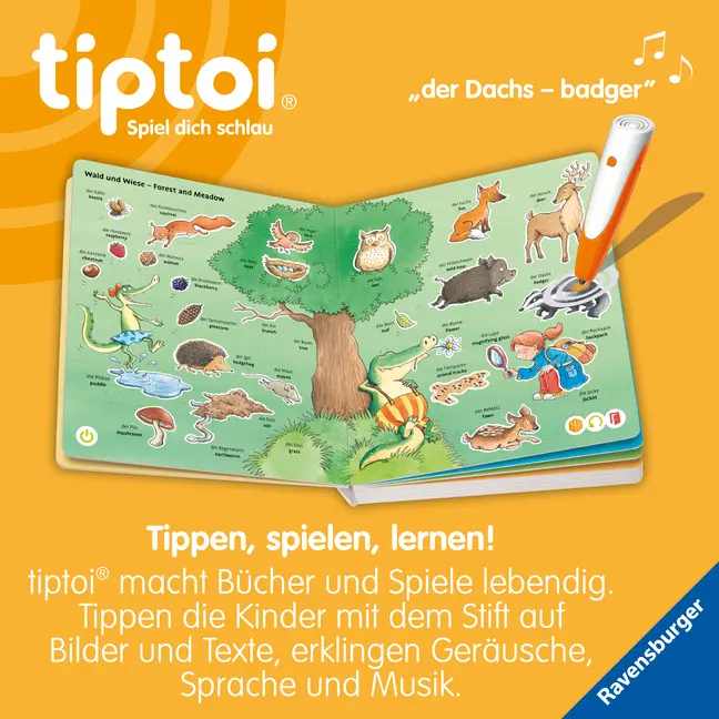 Bild: 9783473492978 | tiptoi® - Mein erstes Bild-Wörterbuch Deutsch-Englisch | Harvey | Buch
