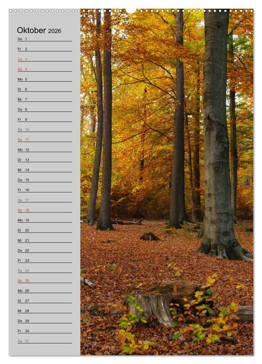 Bild: 9783516432978 | Traumhaftes Siegerland 2026 (hochwertiger Premium Wandkalender 2026...