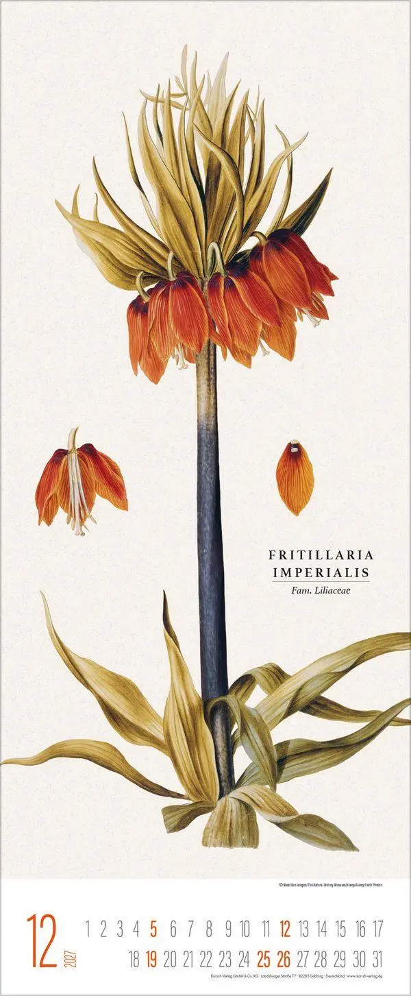 Bild: 9783819302978 | Botanicum 2027 | Verlag Korsch | Kalender | 14 S. | Deutsch | 2027