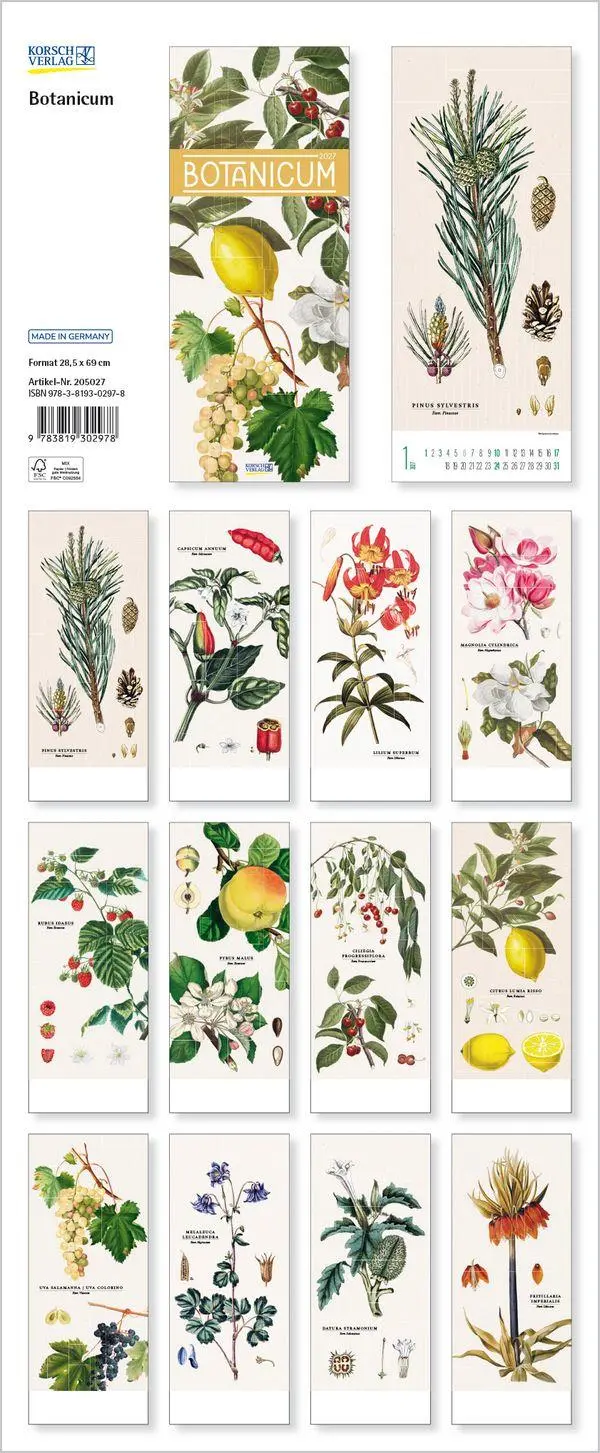 Bild: 9783819302978 | Botanicum 2027 | Verlag Korsch | Kalender | 14 S. | Deutsch | 2027