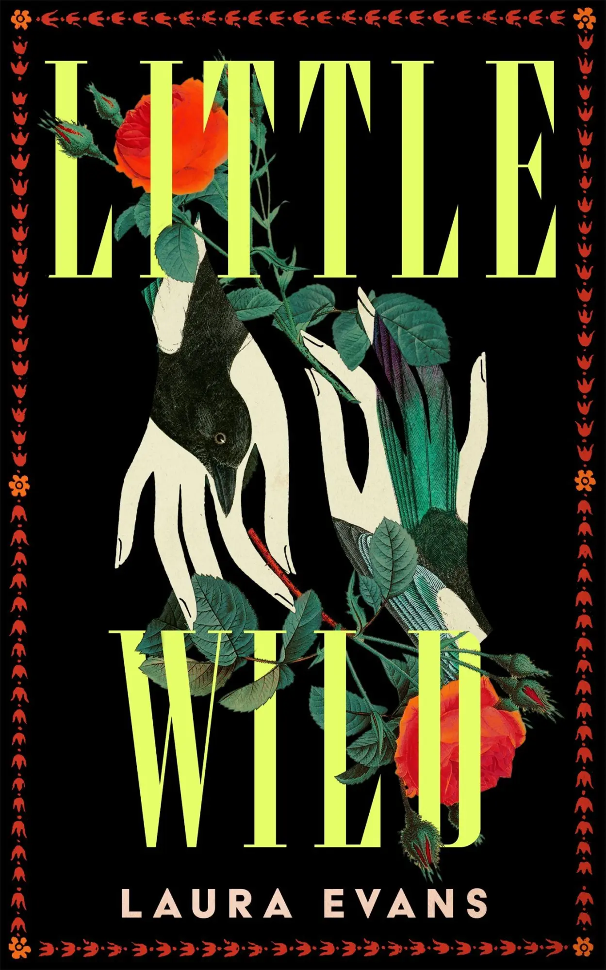 Cover: 9781035073078 | Little Wild | Laura Evans | Taschenbuch | Englisch | 2026