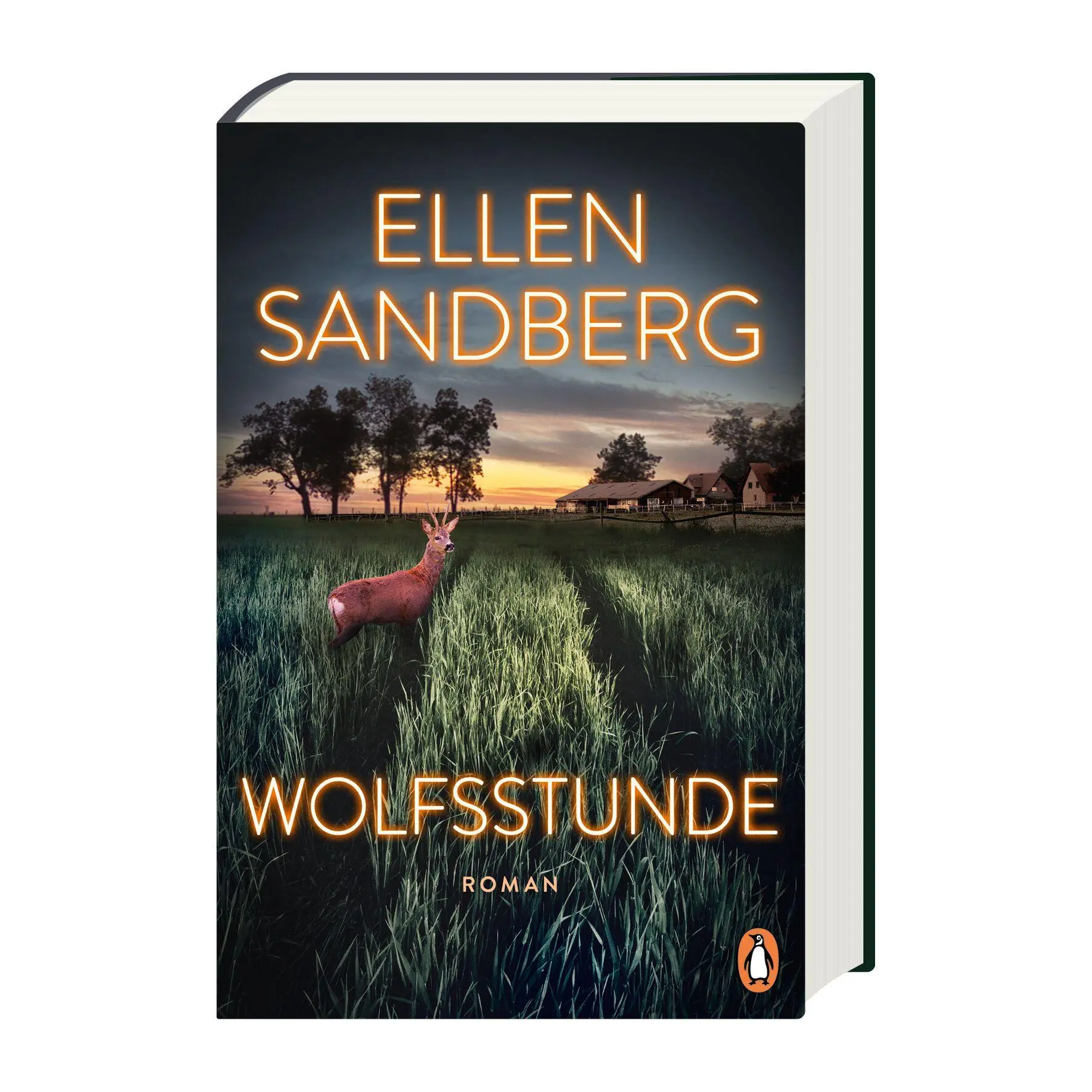 Bild: 9783328603078 | Wolfsstunde | Ellen Sandberg | Buch | 464 S. | Deutsch | 2026