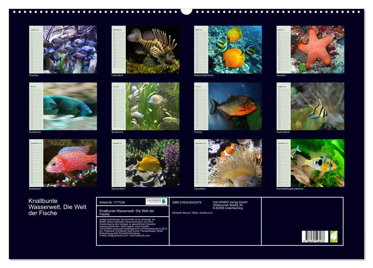 Bild: 9783435523078 | Knallbunte Wasserwelt. Die Welt der Fische (Wandkalender 2025 DIN...