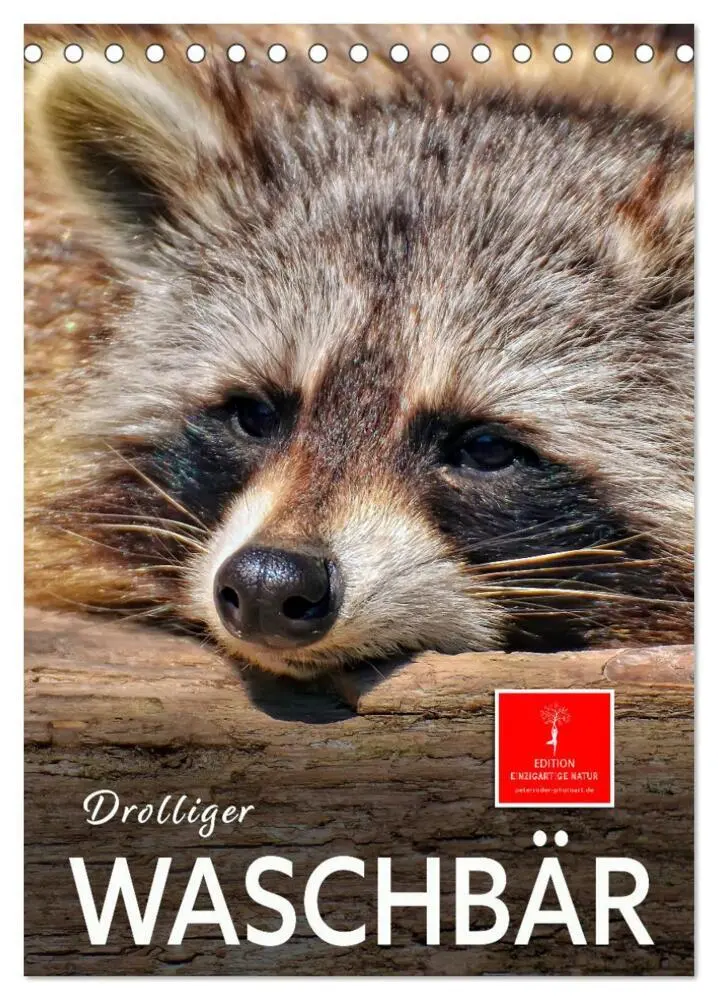 Cover: 9783435903078 | Drolliger Waschbär (Tischkalender 2025 DIN A5 hoch), CALVENDO...