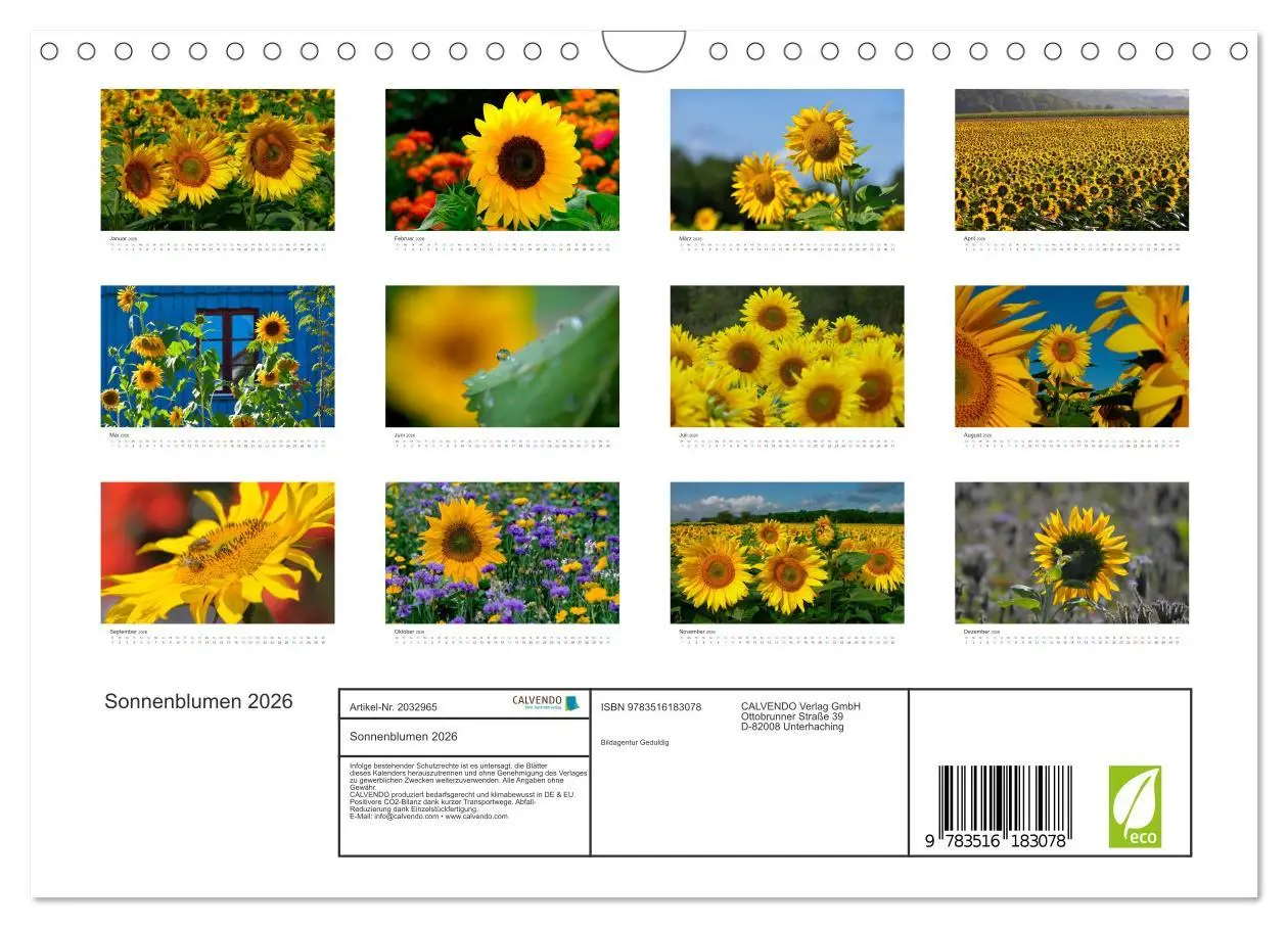 Bild: 9783516183078 | Sonnenblumen 2026 (Wandkalender 2026 DIN A4 quer), CALVENDO...