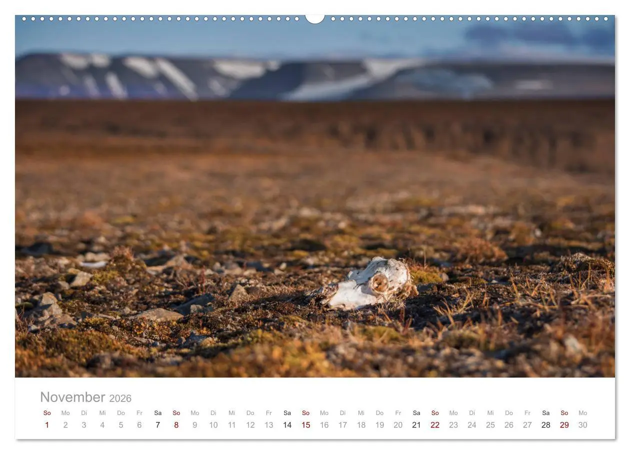 Bild: 9783457843178 | Spitzbergen - Wild.Rau.Ungezähmt. (Wandkalender 2026 DIN A2 quer),...