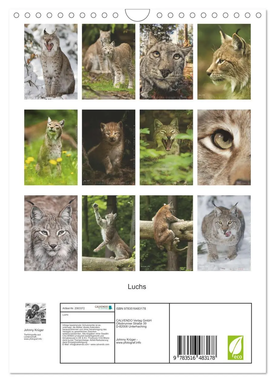 Bild: 9783516483178 | Luchs (Wandkalender 2026 DIN A4 hoch), CALVENDO Monatskalender | 2026