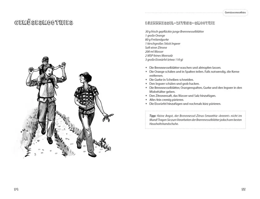 Bild: 9783895663178 | Vegane Rohköstlichkeiten aus dem Mixer | Heike Kügler-Anger | Buch