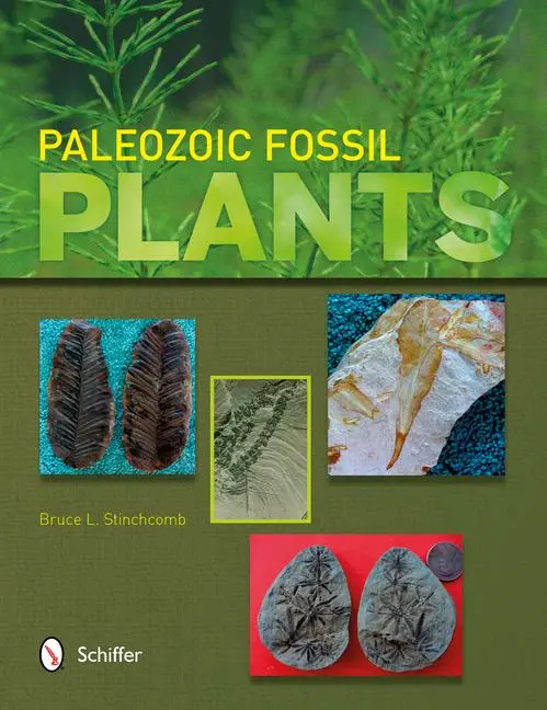 Cover: 9780764343278 | Paleozoic Fossil Plants | Bruce L. Stinchcomb | Taschenbuch | Englisch