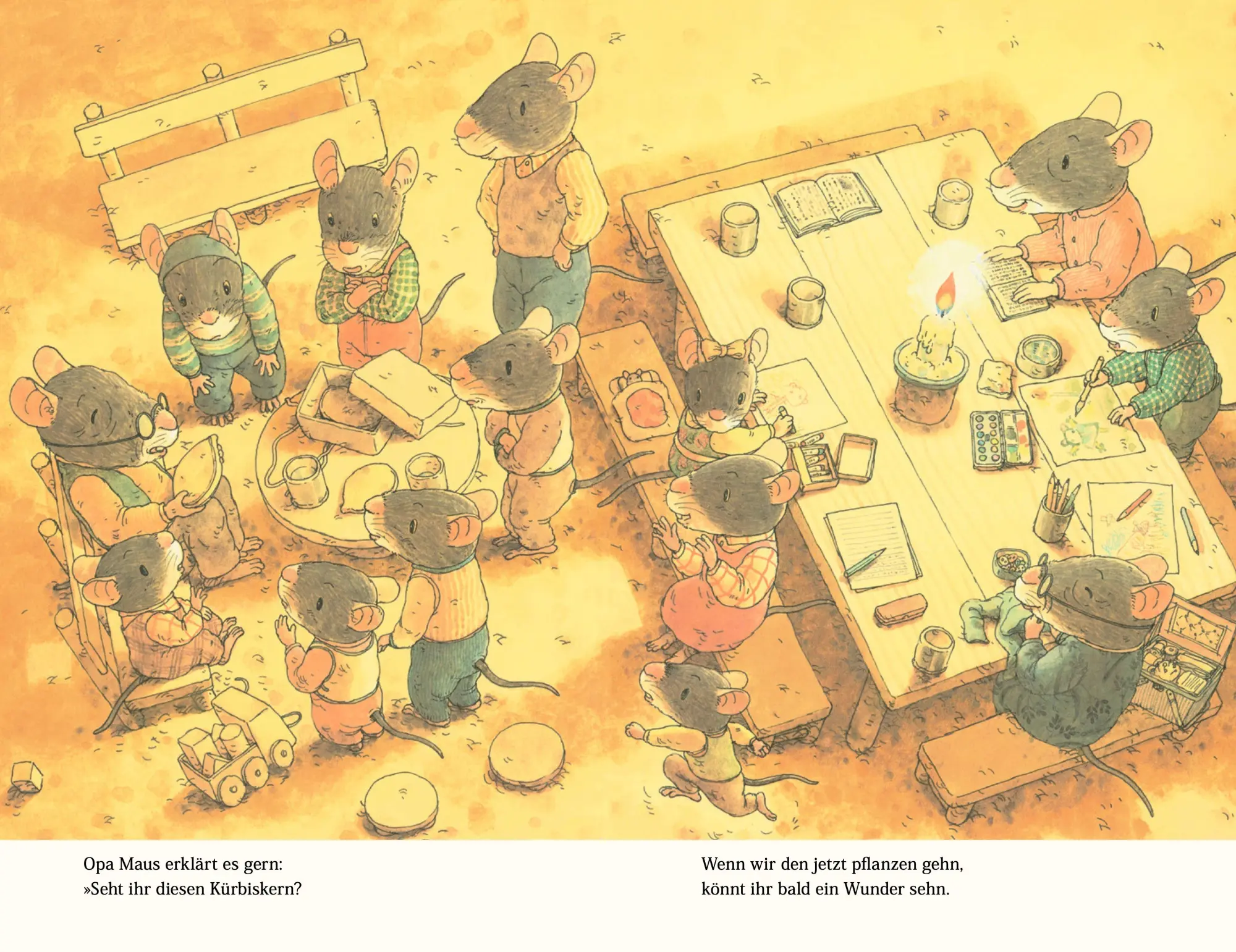 Bild: 9783314103278 | Familie Maus im Garten | Rose Pflock | Buch | Familie Maus | 40 S.