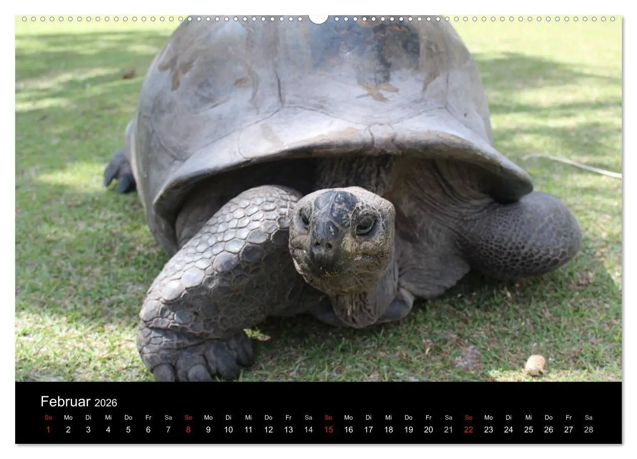 Bild: 9783516163278 | Seychellen (Wandkalender 2026 DIN A2 quer), CALVENDO Monatskalender