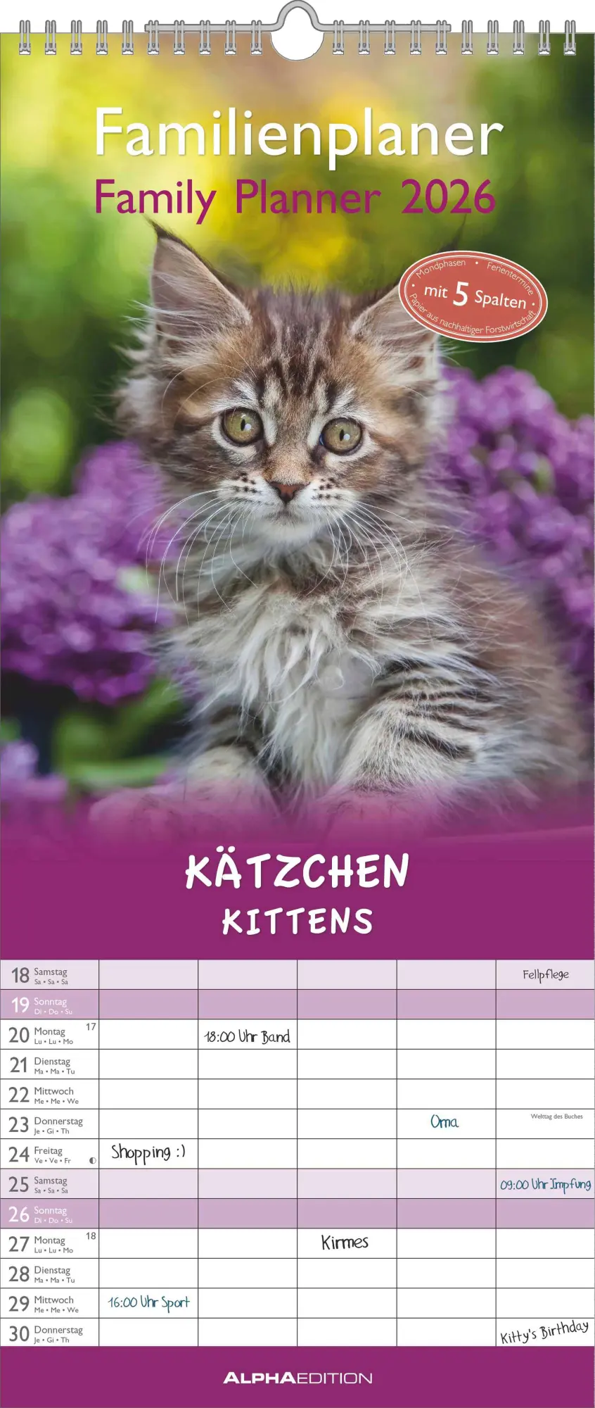 Cover: 4069095003378 | Kätzchen 2026 Familienplaner - Familienkalender - Wandkalender -...