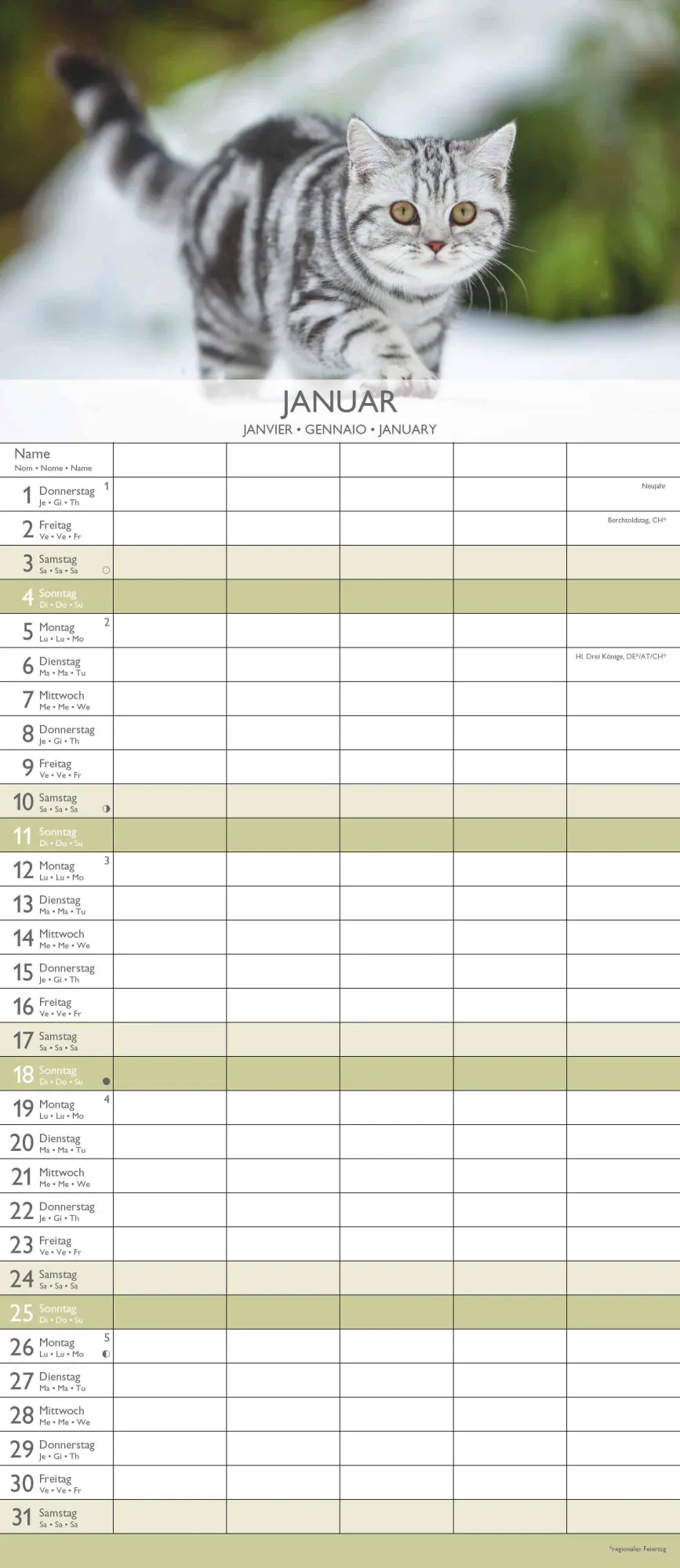 Bild: 4069095003378 | Kätzchen 2026 Familienplaner - Familienkalender - Wandkalender -...