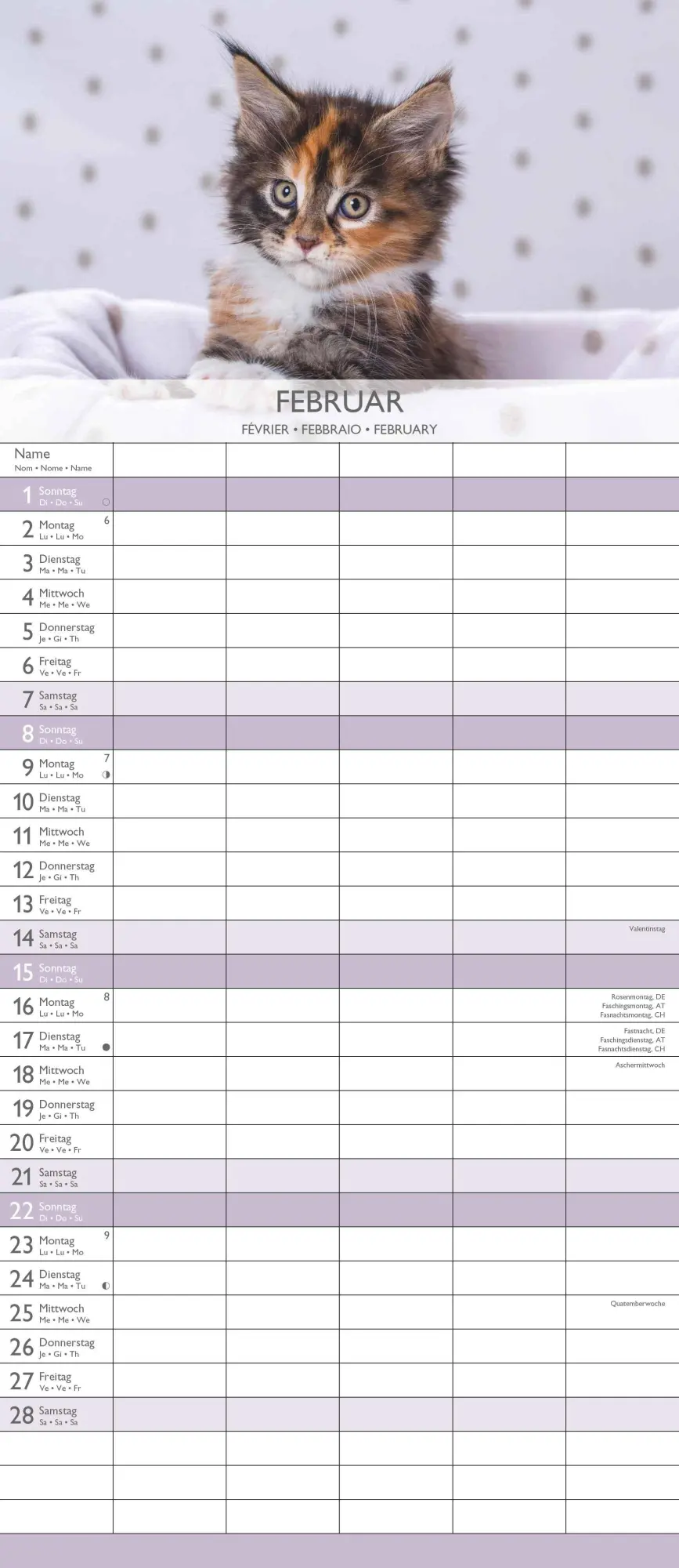 Bild: 4069095003378 | Kätzchen 2026 Familienplaner - Familienkalender - Wandkalender -...