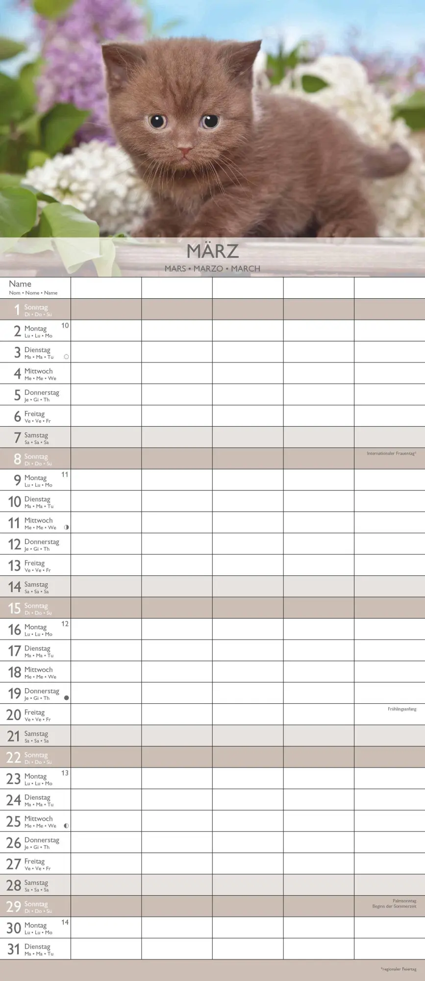Bild: 4069095003378 | Kätzchen 2026 Familienplaner - Familienkalender - Wandkalender -...