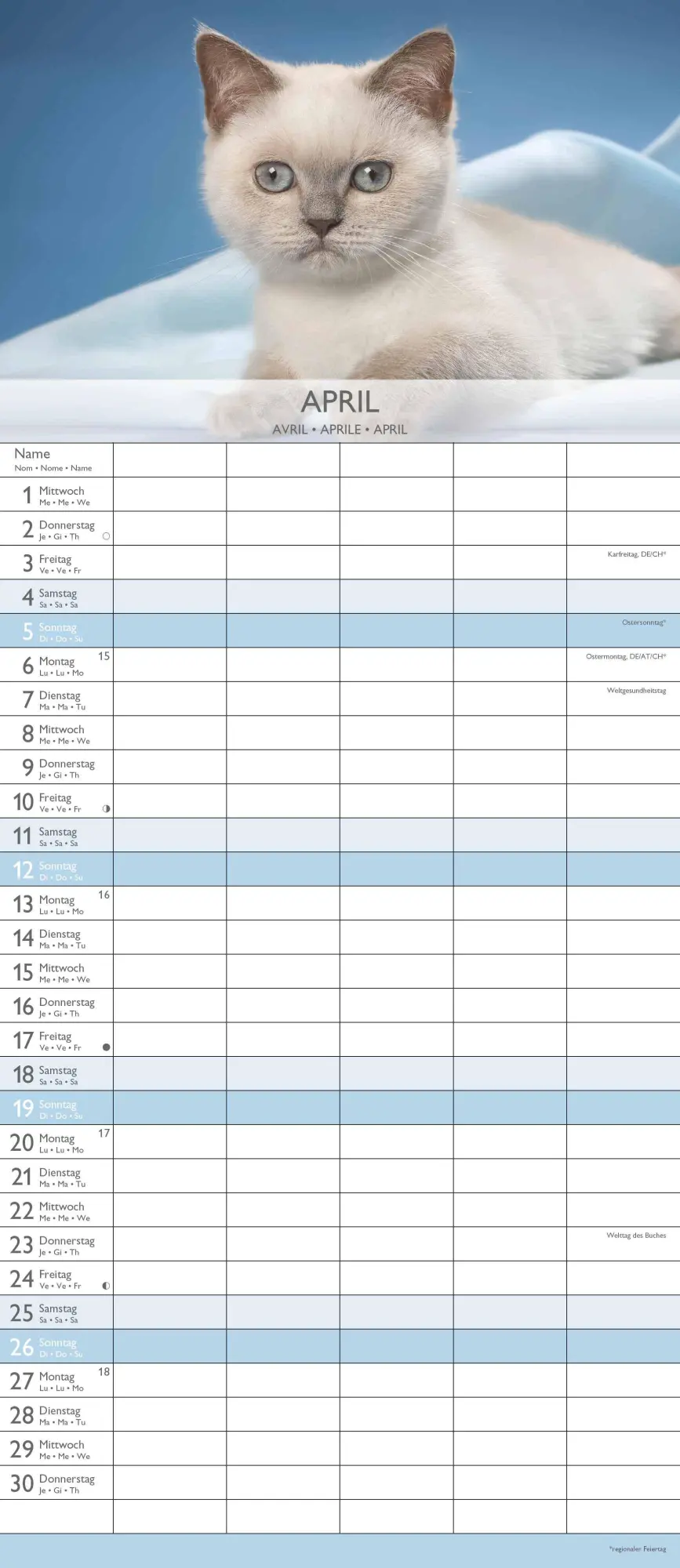 Bild: 4069095003378 | Kätzchen 2026 Familienplaner - Familienkalender - Wandkalender -...
