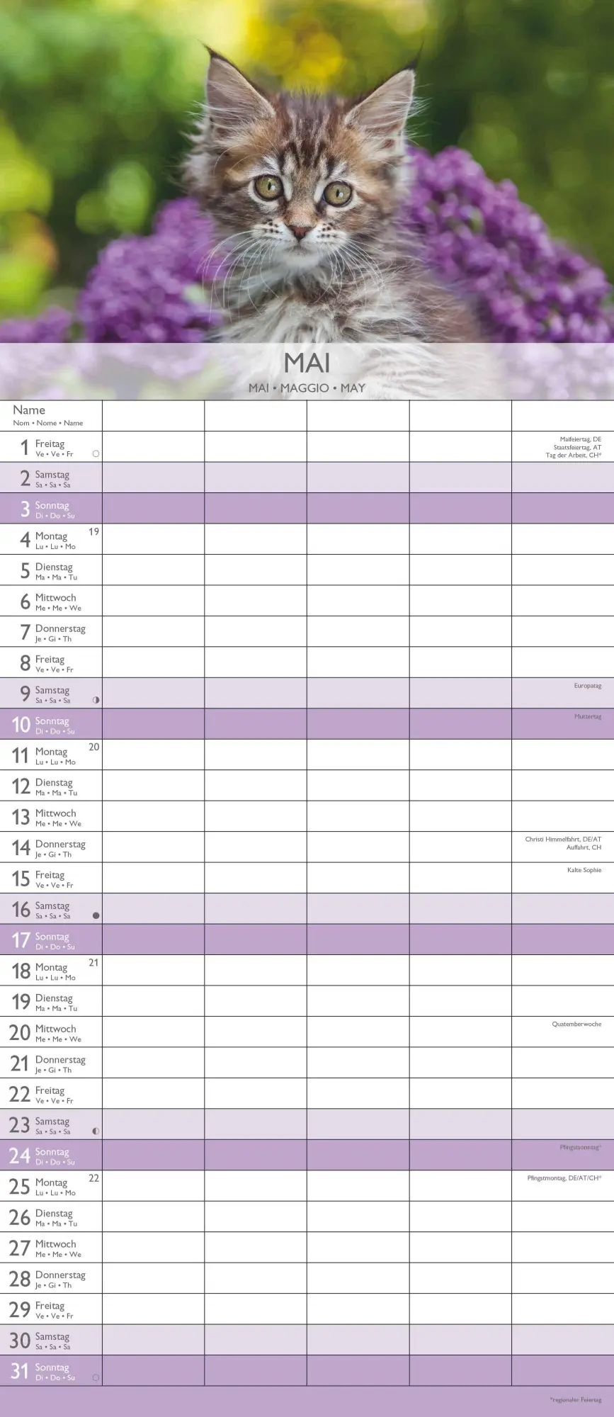 Bild: 4069095003378 | Kätzchen 2026 Familienplaner - Familienkalender - Wandkalender -...