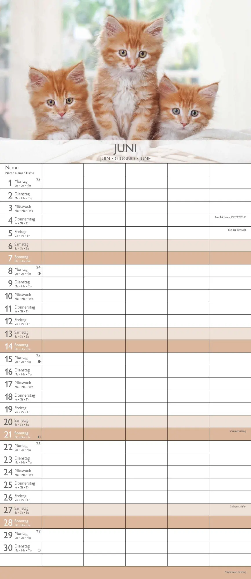Bild: 4069095003378 | Kätzchen 2026 Familienplaner - Familienkalender - Wandkalender -...