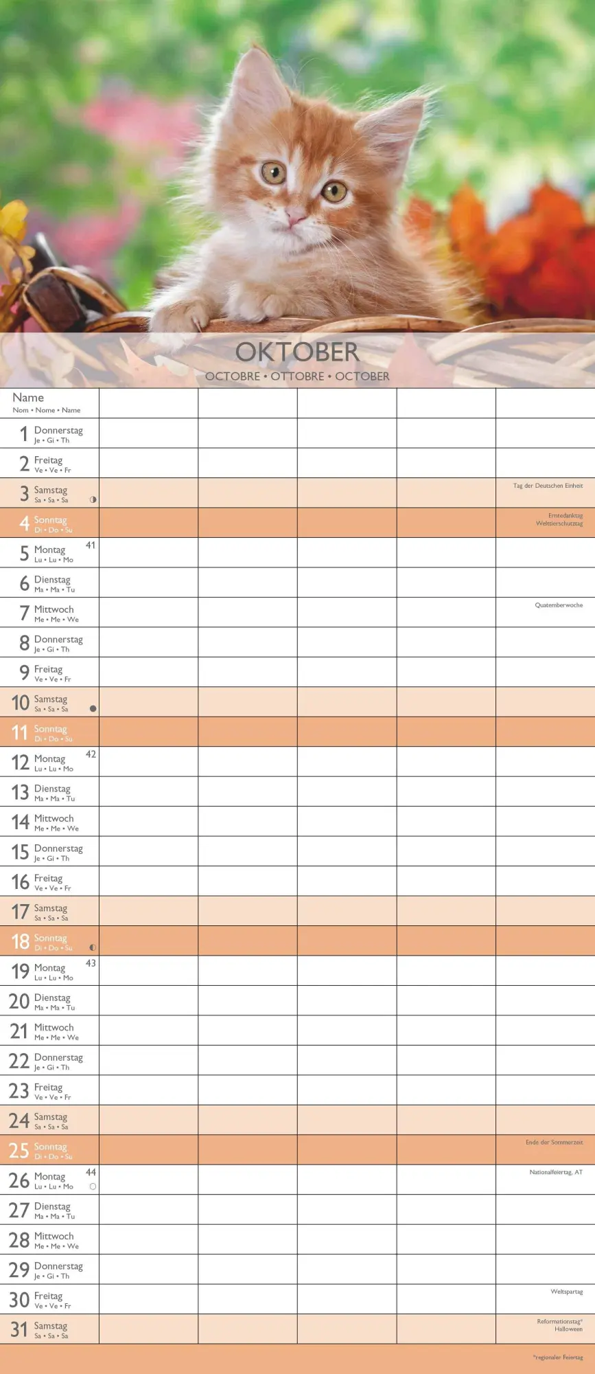 Bild: 4069095003378 | Kätzchen 2026 Familienplaner - Familienkalender - Wandkalender -...