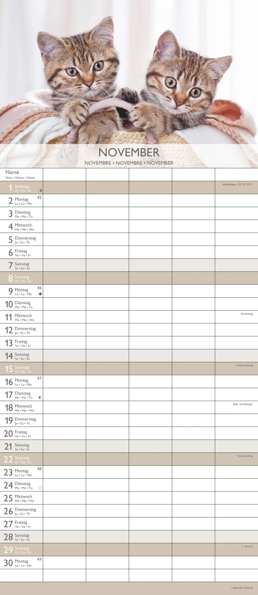 Bild: 4069095003378 | Kätzchen 2026 Familienplaner - Familienkalender - Wandkalender -...