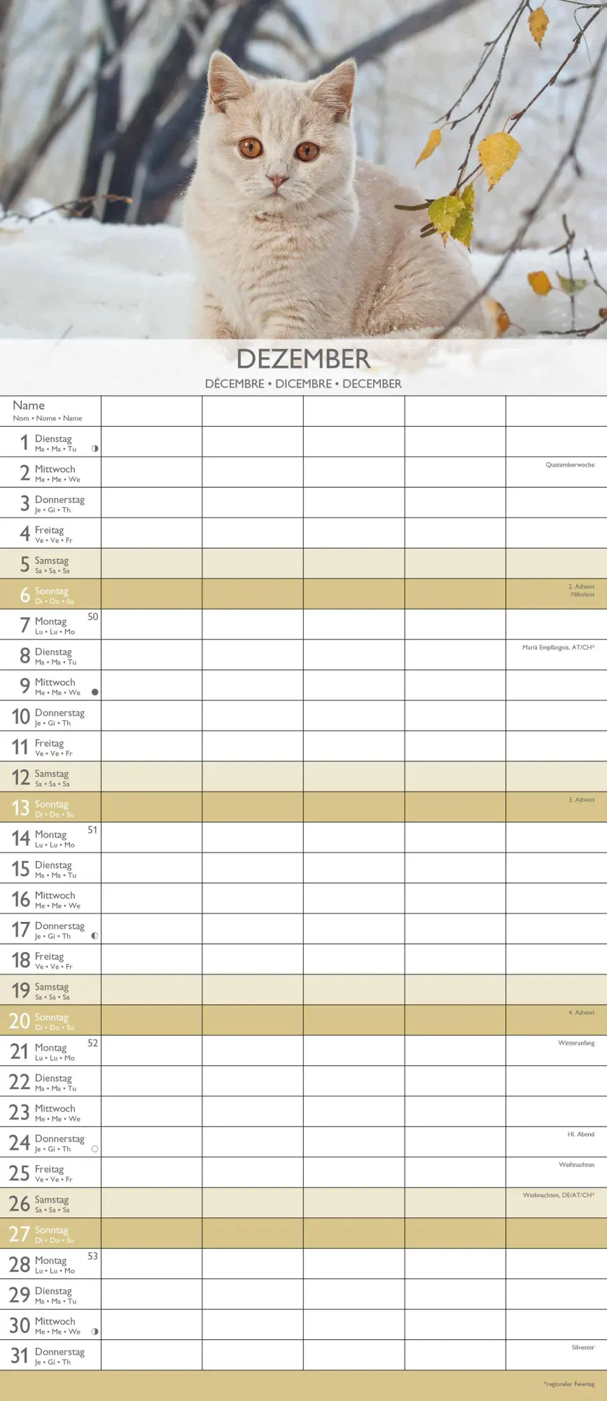 Bild: 4069095003378 | Kätzchen 2026 Familienplaner - Familienkalender - Wandkalender -...