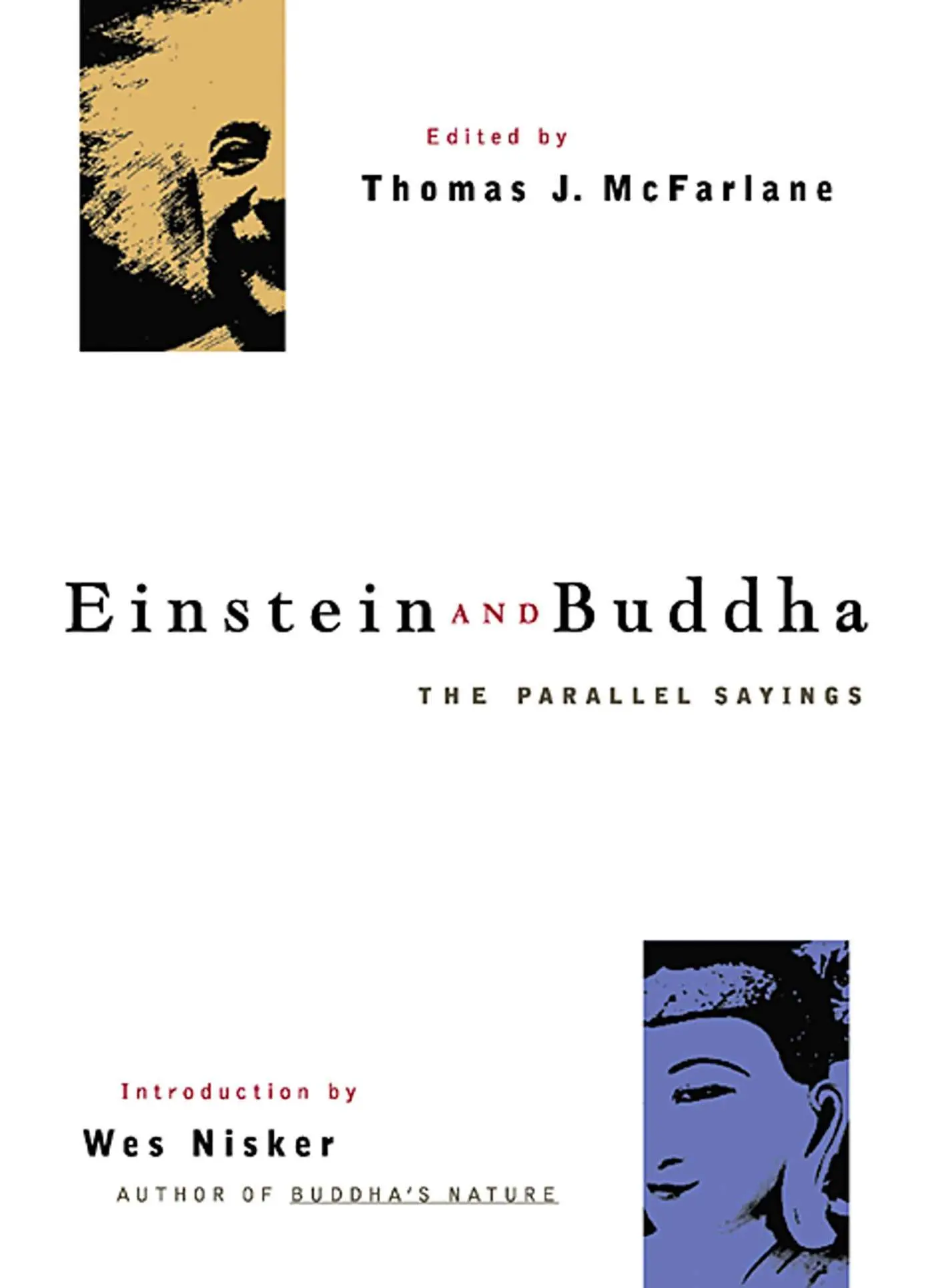 Cover: 9781569753378 | Einstein and Buddha | The Parallel Sayings | Thomas J McFarlane | Buch