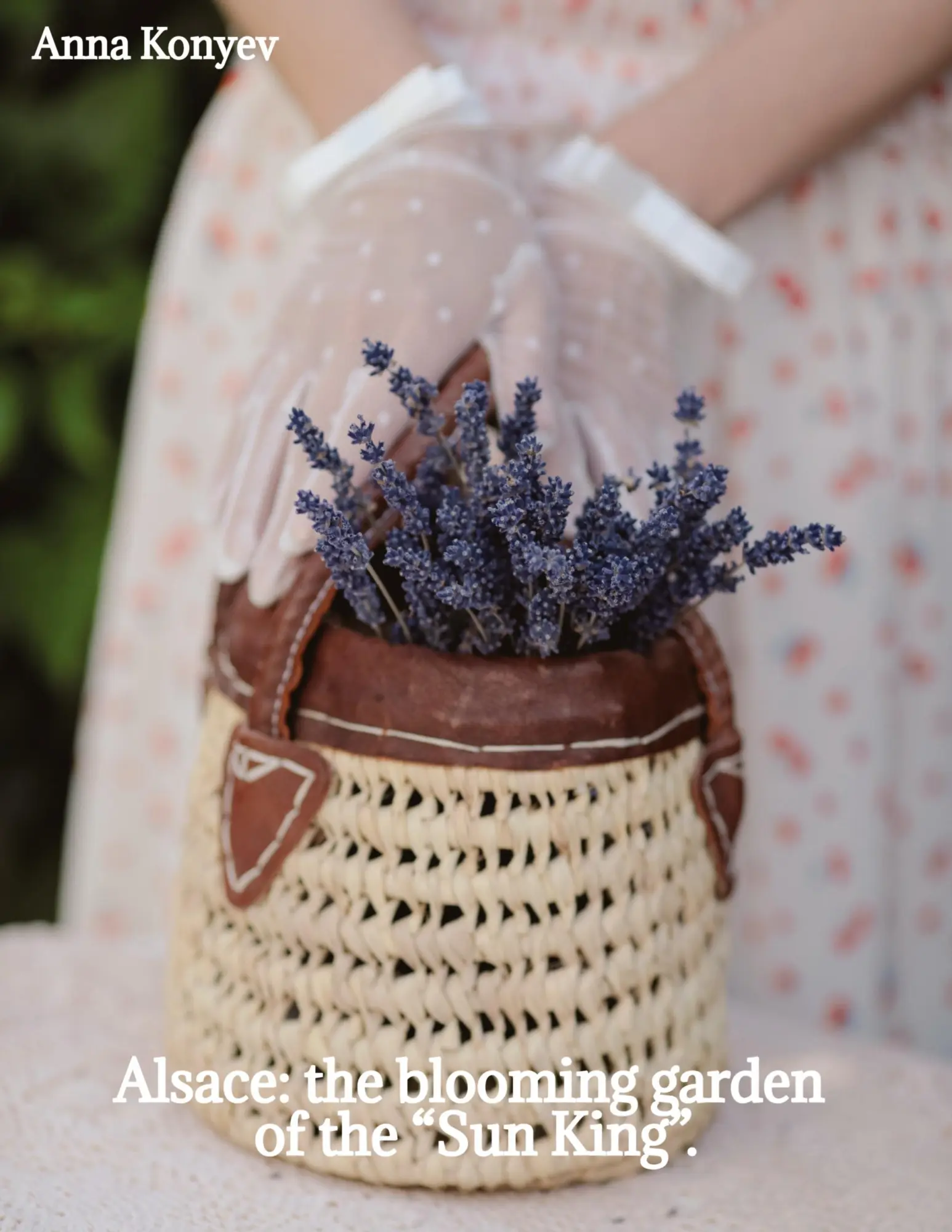 Cover: 9783384493378 | Alsace: the blooming garden of the "Sun King". | Anna Konyev | Buch