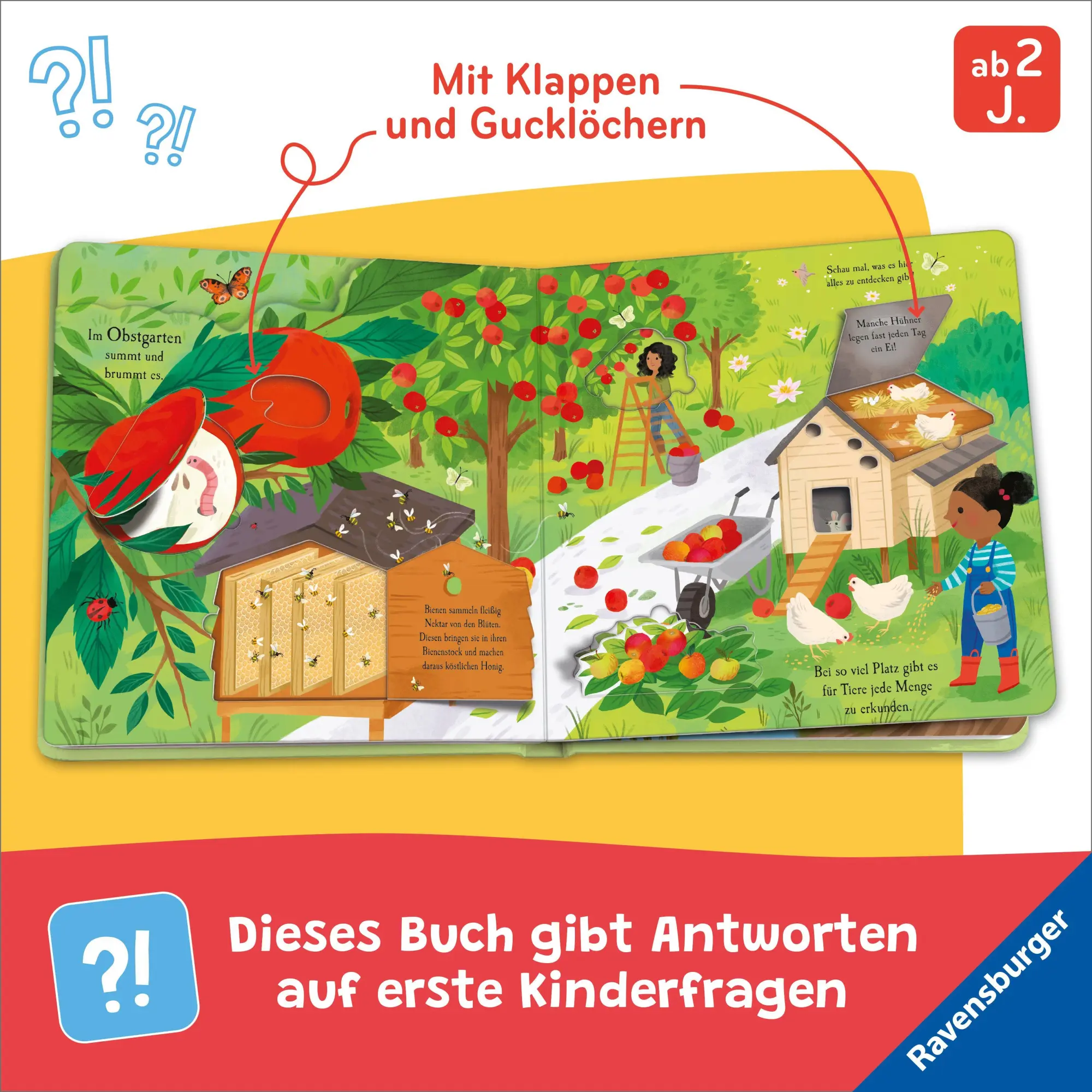 Bild: 9783473423378 | Auf Entdeckungstour: Im Garten | Laura Garnerburt | Buch | 12 S.
