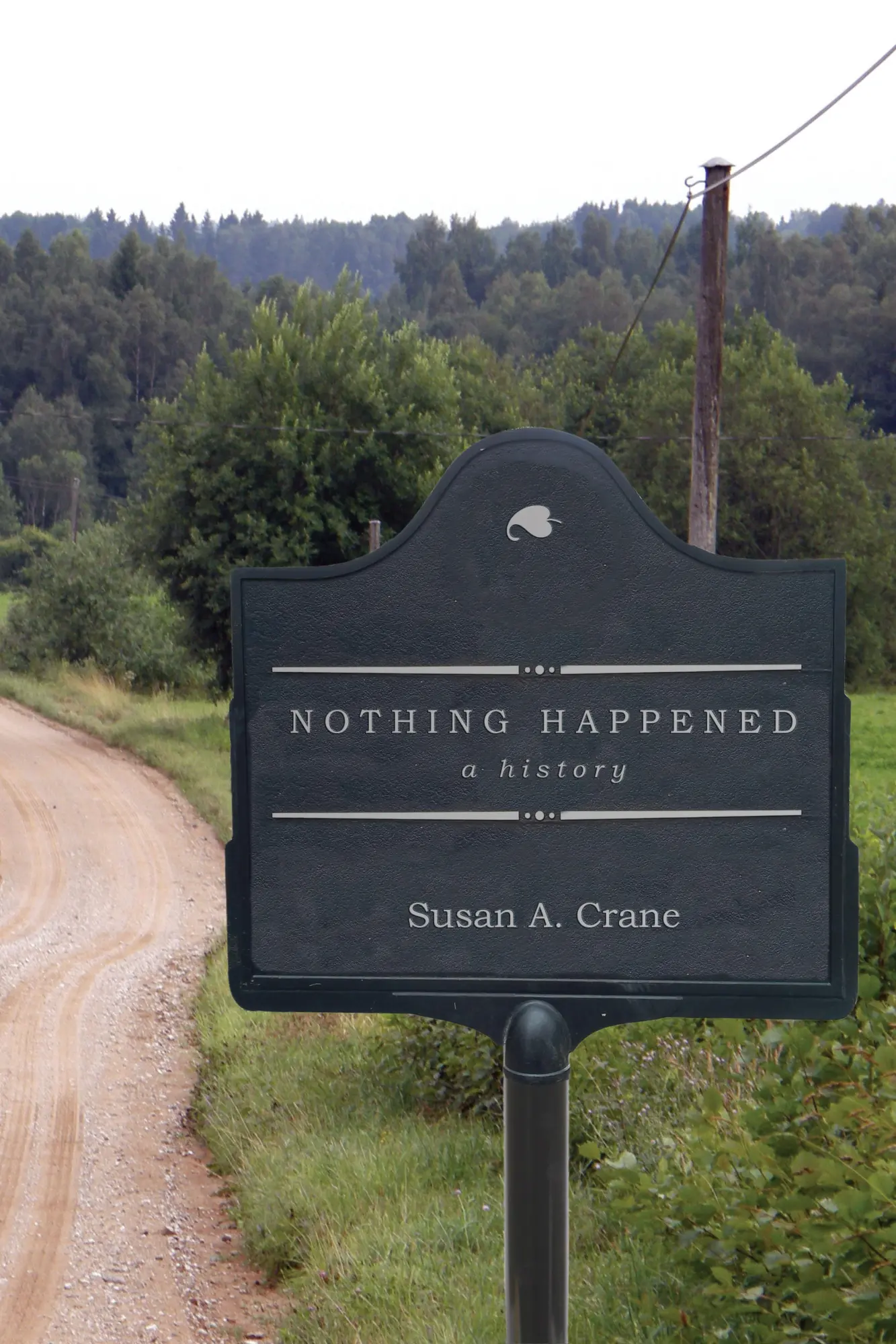 Cover: 9781503613478 | Nothing Happened | A History | Susan A Crane | Buch | Gebunden | 2021