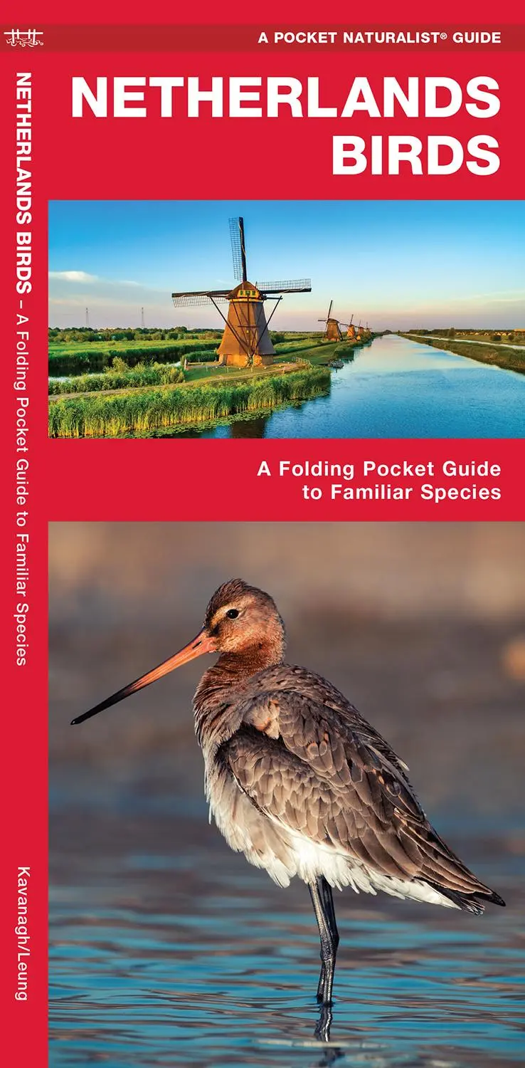 Cover: 9781620053478 | Netherlands Birds | A Folding Pocket Guide to Familiar Species | 2020