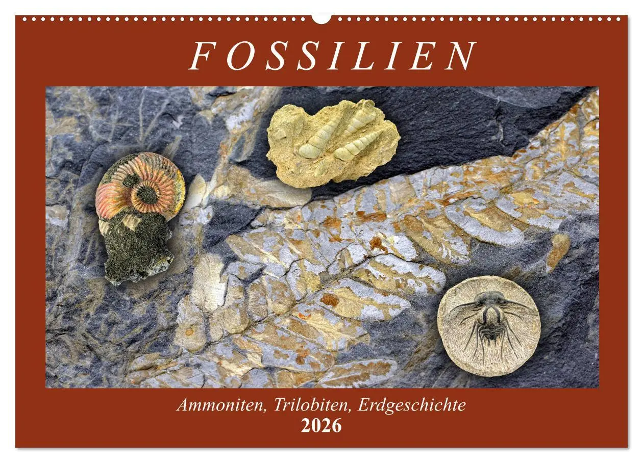 Cover: 9783457813478 | Fossilien - Ammoniten, Trilobiten, Erdgeschichte (Wandkalender 2026...