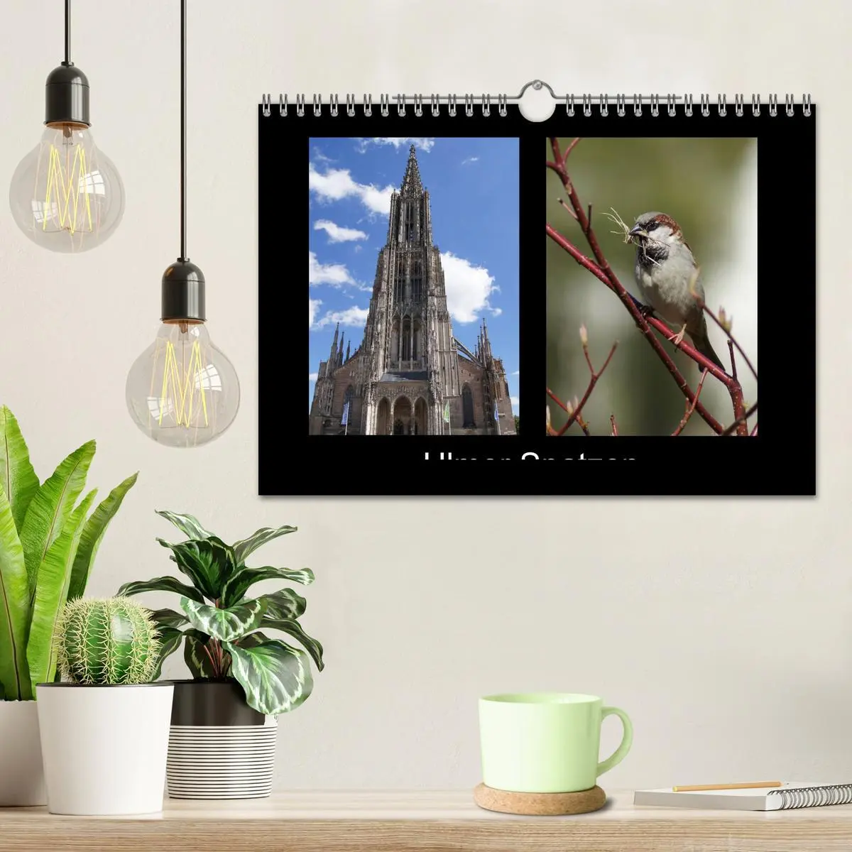 Bild: 9783457983478 | Ulmer Spatzen (Wandkalender 2026 DIN A4 quer), CALVENDO Monatskalender