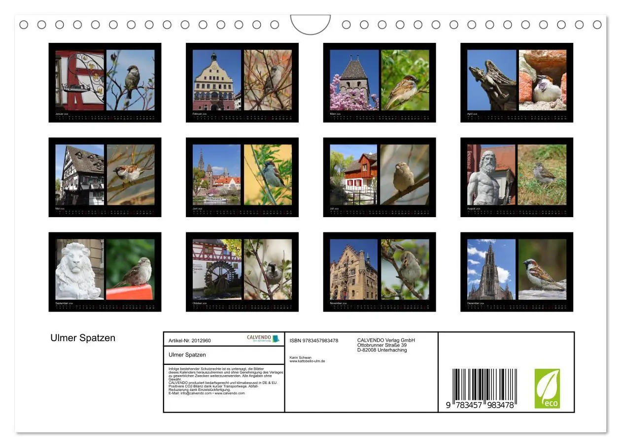 Bild: 9783457983478 | Ulmer Spatzen (Wandkalender 2026 DIN A4 quer), CALVENDO Monatskalender