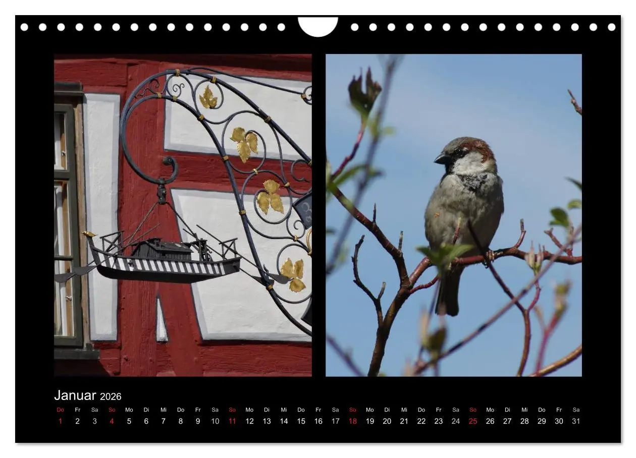 Bild: 9783457983478 | Ulmer Spatzen (Wandkalender 2026 DIN A4 quer), CALVENDO Monatskalender