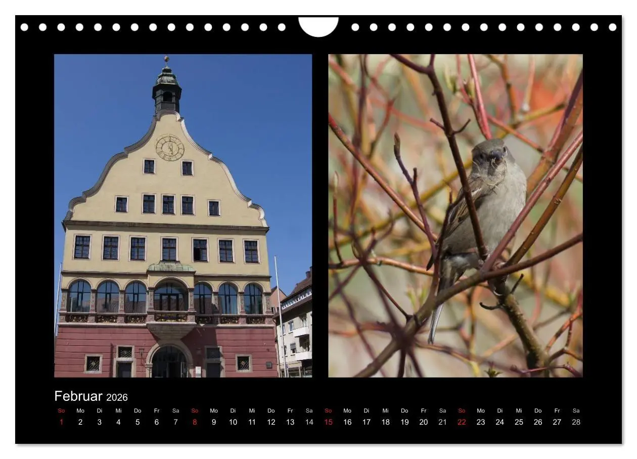 Bild: 9783457983478 | Ulmer Spatzen (Wandkalender 2026 DIN A4 quer), CALVENDO Monatskalender