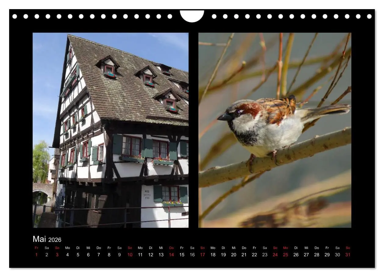 Bild: 9783457983478 | Ulmer Spatzen (Wandkalender 2026 DIN A4 quer), CALVENDO Monatskalender