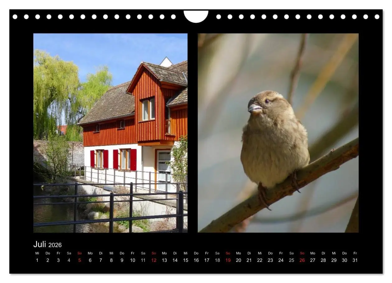 Bild: 9783457983478 | Ulmer Spatzen (Wandkalender 2026 DIN A4 quer), CALVENDO Monatskalender