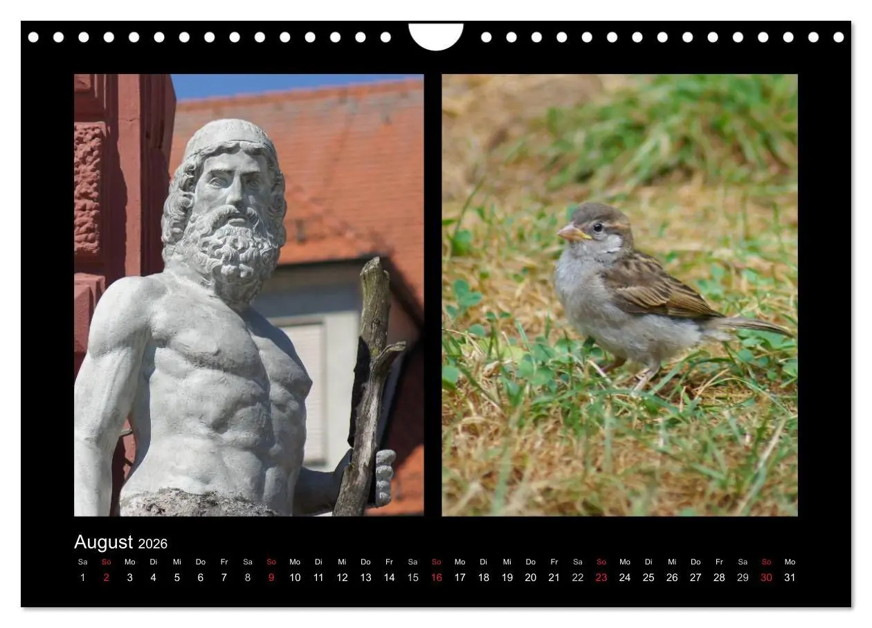 Bild: 9783457983478 | Ulmer Spatzen (Wandkalender 2026 DIN A4 quer), CALVENDO Monatskalender