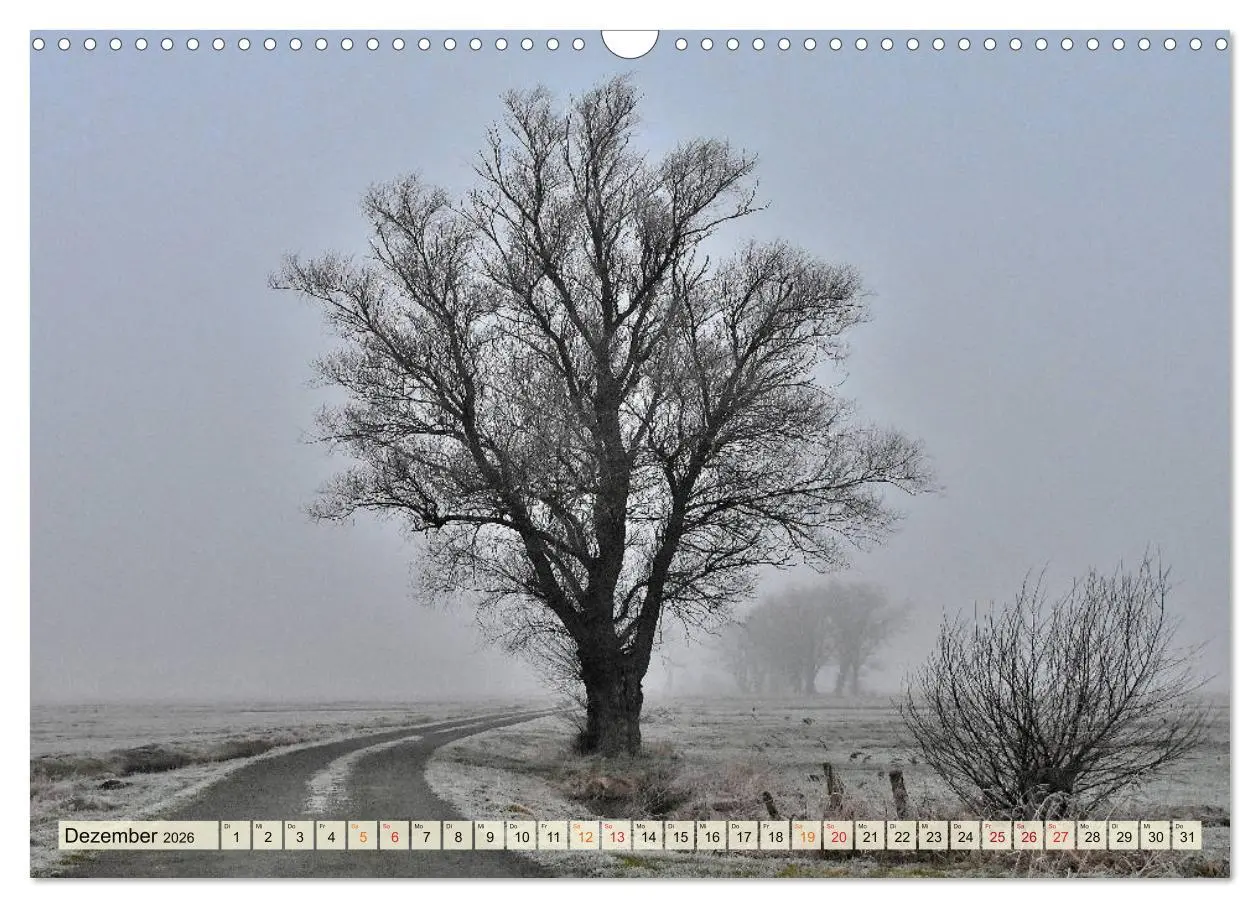 Bild: 9783457733578 | Landschaft an der Wümme (Wandkalender 2026 DIN A3 quer), CALVENDO...