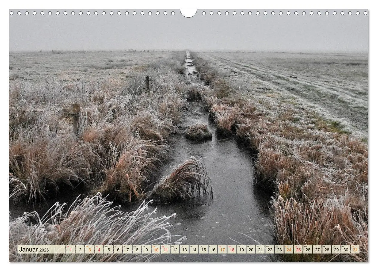 Bild: 9783457733578 | Landschaft an der Wümme (Wandkalender 2026 DIN A3 quer), CALVENDO...