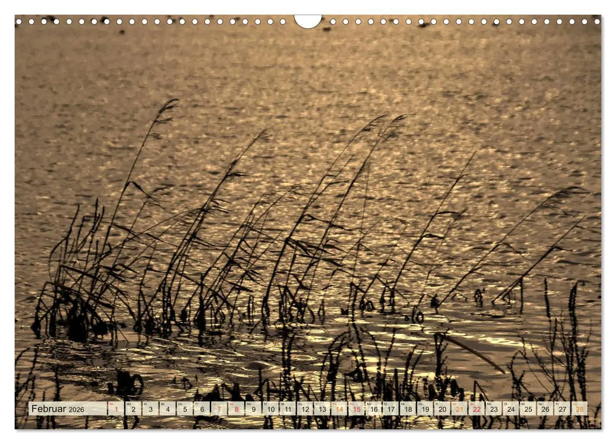 Bild: 9783457733578 | Landschaft an der Wümme (Wandkalender 2026 DIN A3 quer), CALVENDO...
