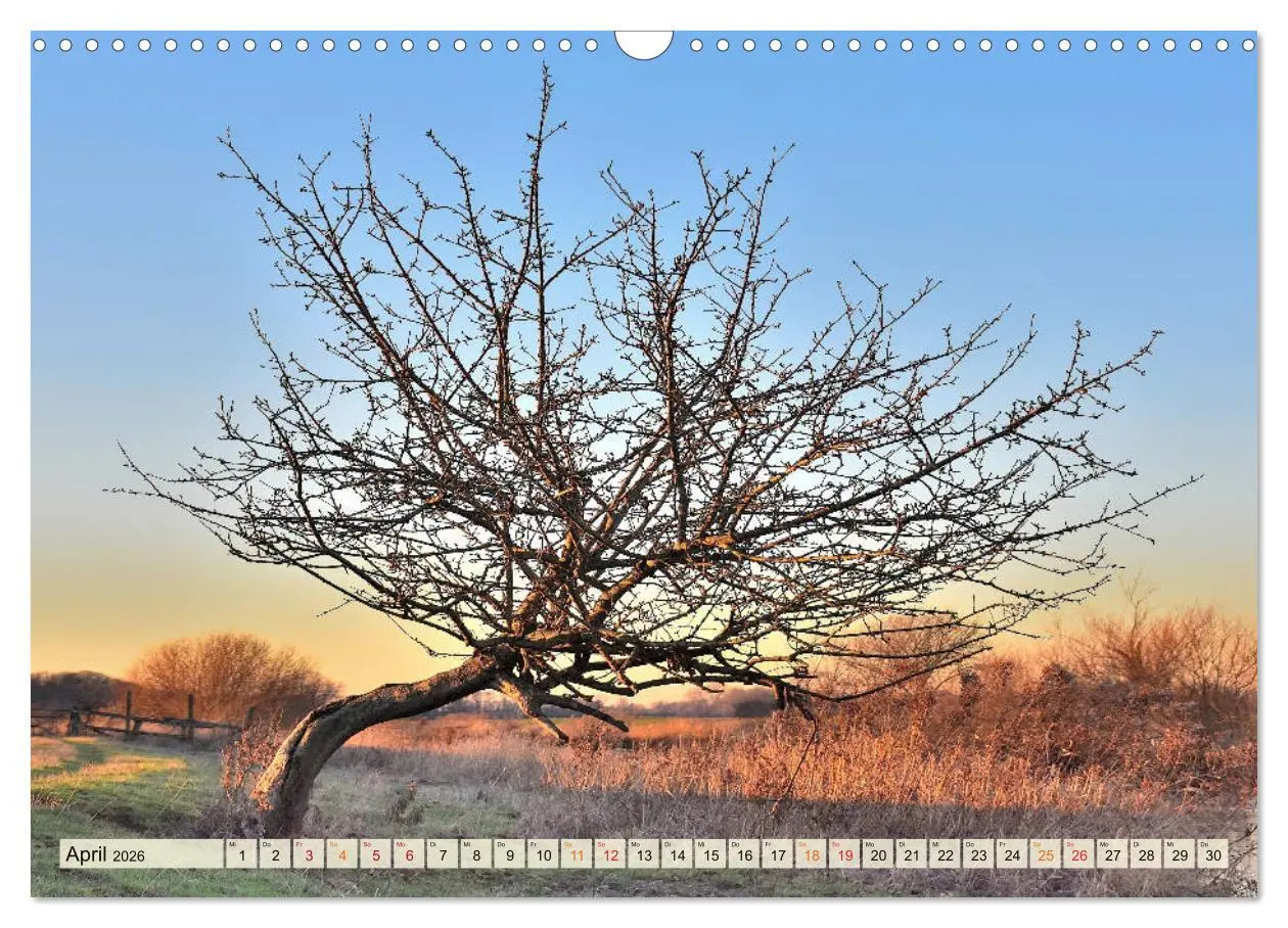 Bild: 9783457733578 | Landschaft an der Wümme (Wandkalender 2026 DIN A3 quer), CALVENDO...