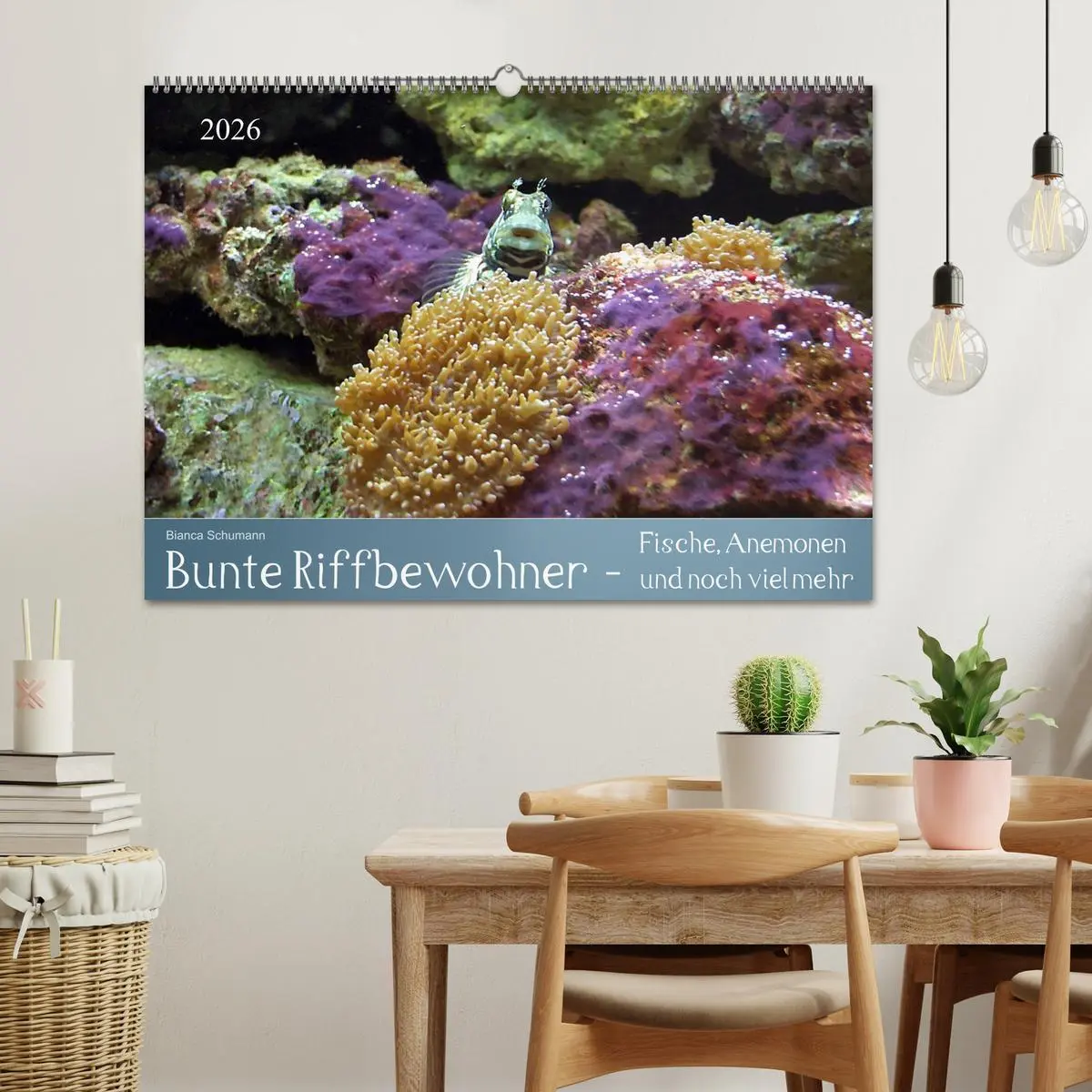 Bild: 9783516133578 | Bunte Riffbewohner - Fische, Anemonen und noch viel mehr...