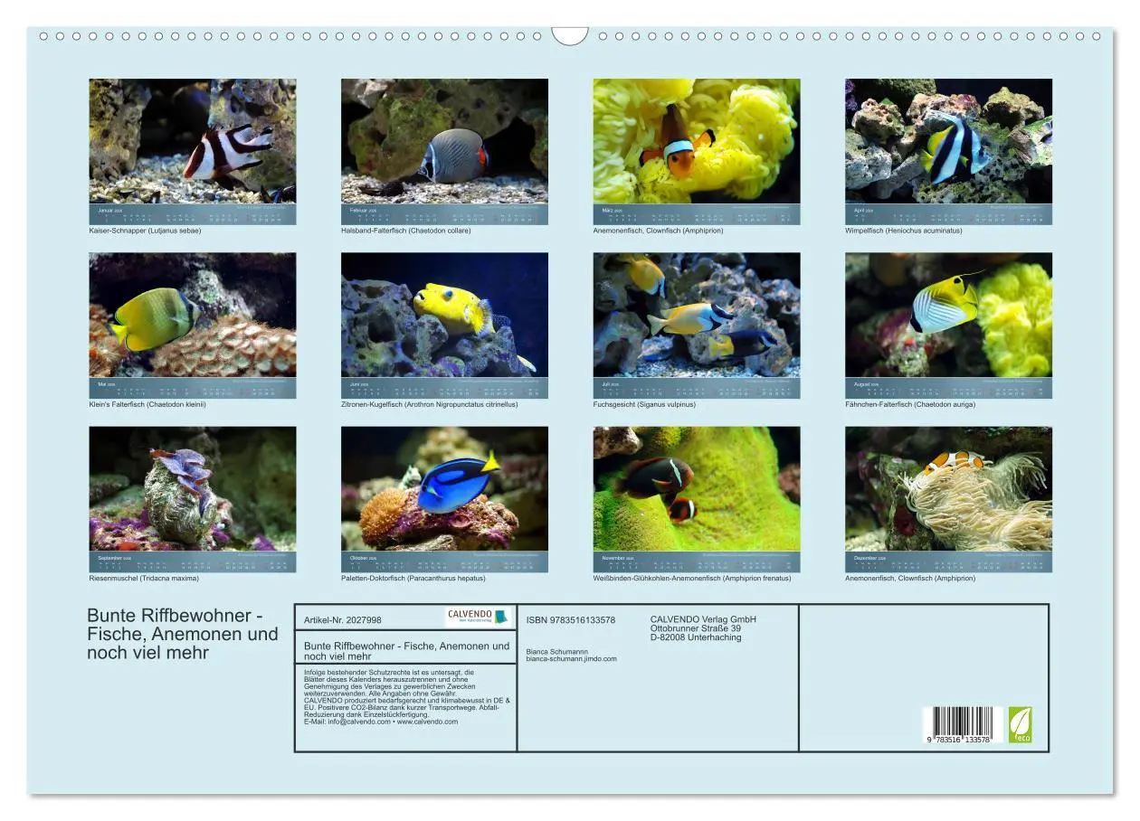 Bild: 9783516133578 | Bunte Riffbewohner - Fische, Anemonen und noch viel mehr...