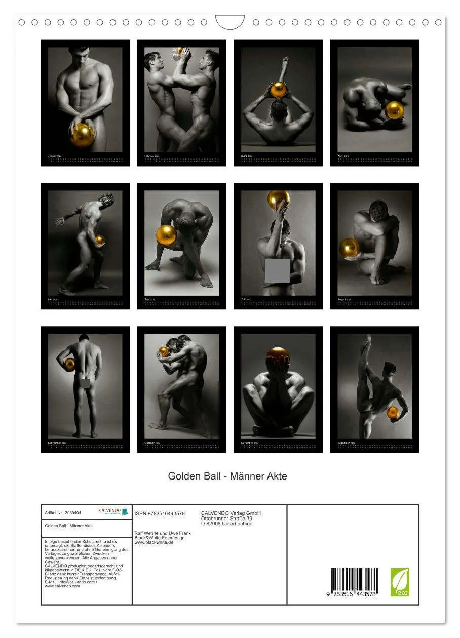 Bild: 9783516443578 | Golden Ball - Männer Akte (Wandkalender 2026 DIN A3 hoch), CALVENDO...