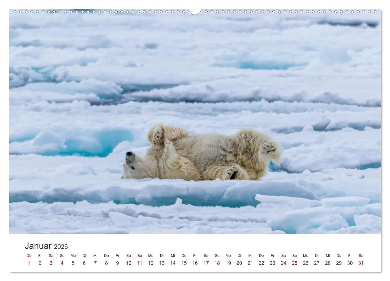 Bild: 9783457413678 | Spitzbergen - Eis, Eisbären und mehr (hochwertiger Premium...