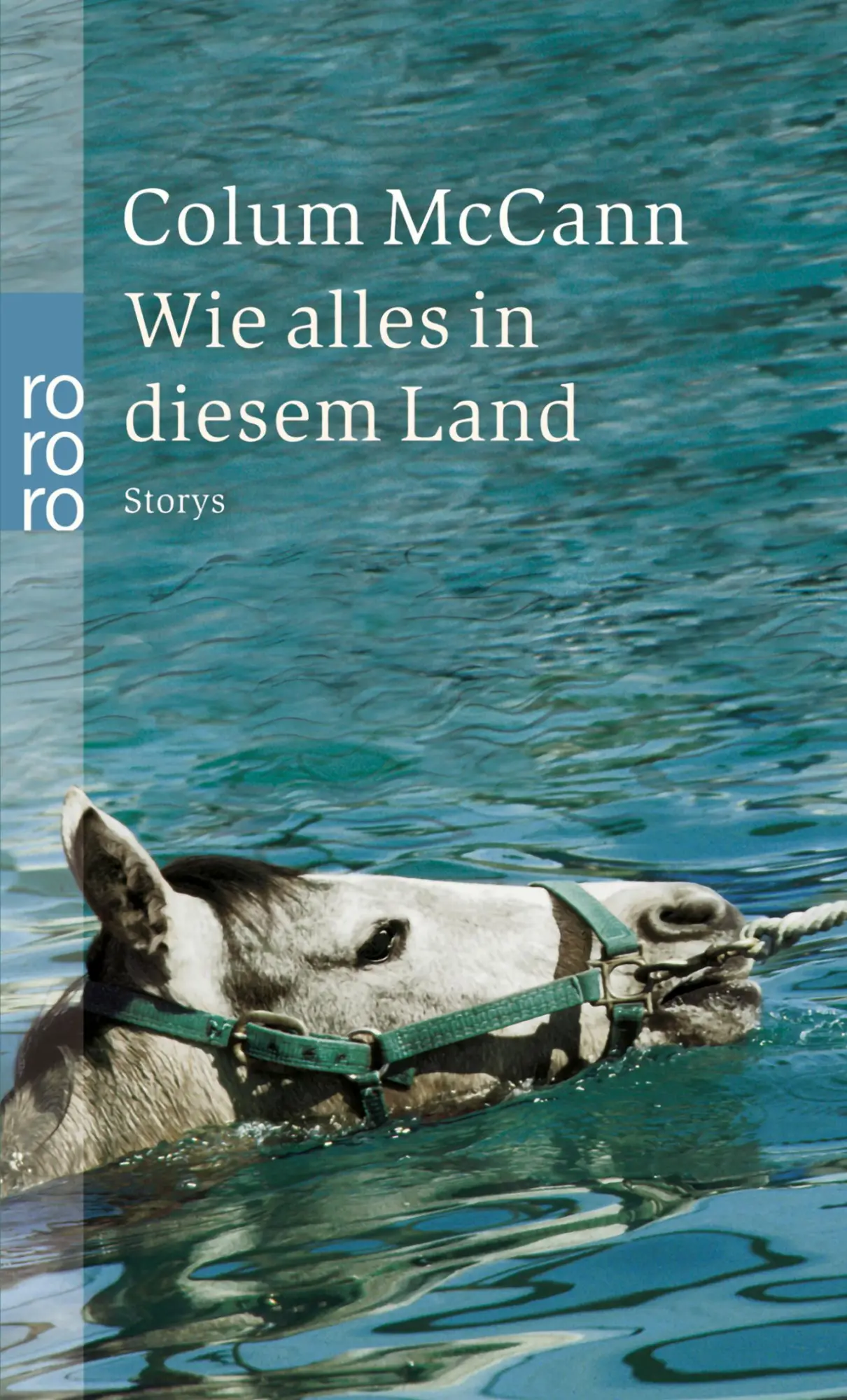 Cover: 9783499233678 | Wie alles in diesem Land | Colum McCann | Taschenbuch | 160 S. | 2003